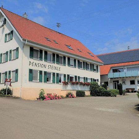 Pension Steinle Erbach an der Danau 外观 照片