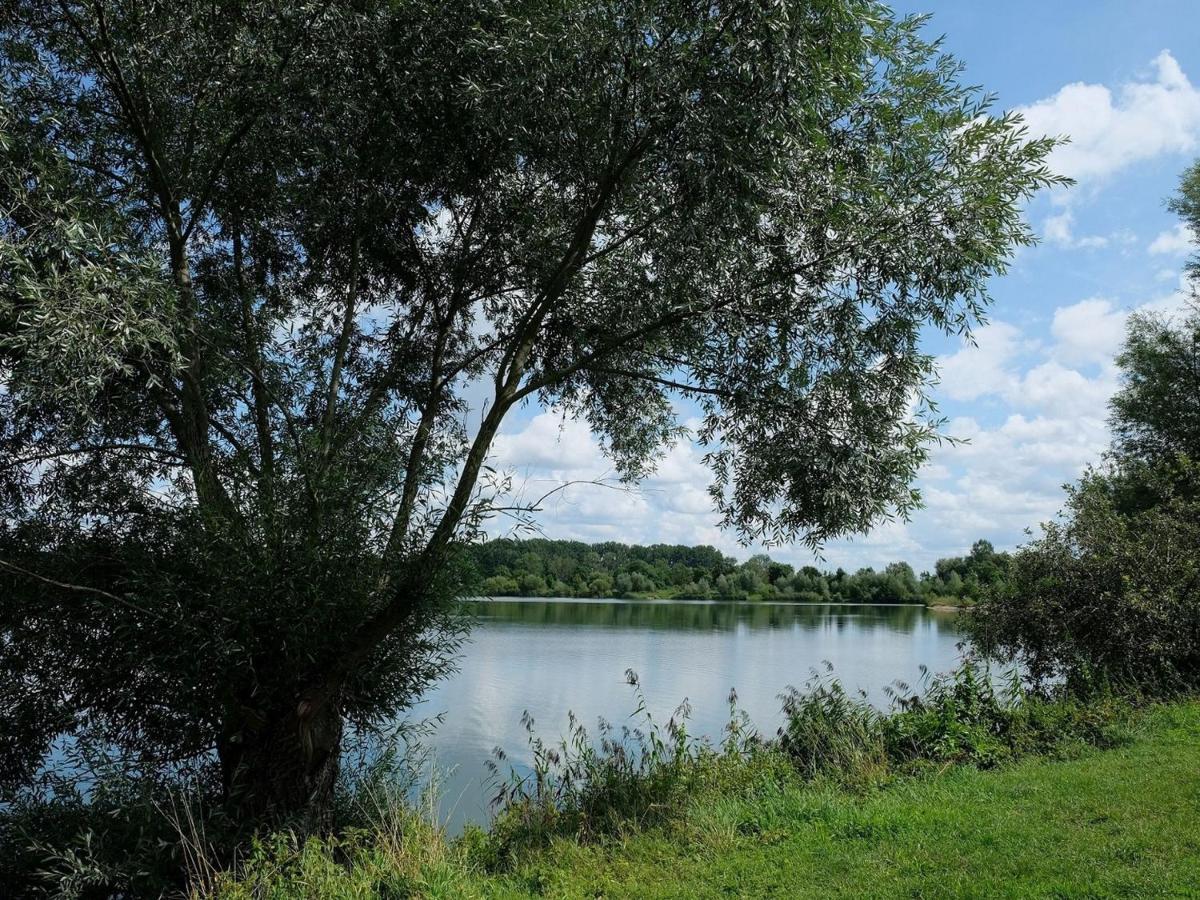 Pension Steinle Erbach an der Danau 外观 照片